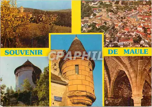 Cartes postales moderne Maule (Yvelines) Couleurs et Lumiere de France Vue Generale Vue aerienne Colombier du Chateau