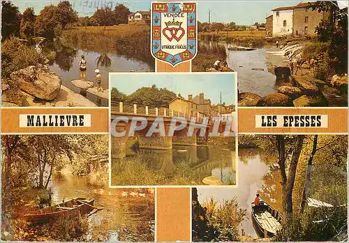 Cartes postales moderne Mallievre les Epesse (Vendee)