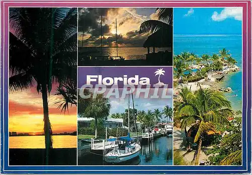 Cartes postales moderne Florida Impressions Beautiful Florida for all to enjoy
