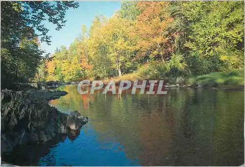 Cartes postales moderne Couleurs automnales au Parc des Sept Chutes Canada
