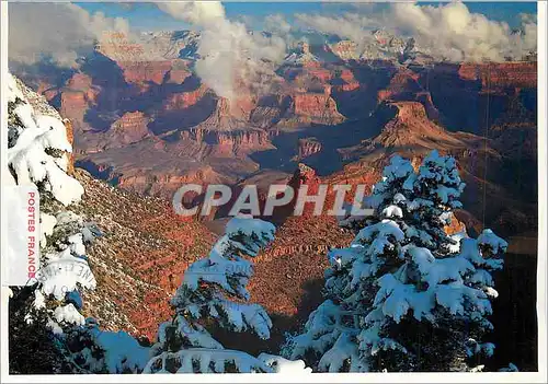 Cartes postales moderne Gand Canyon National Park Arizona