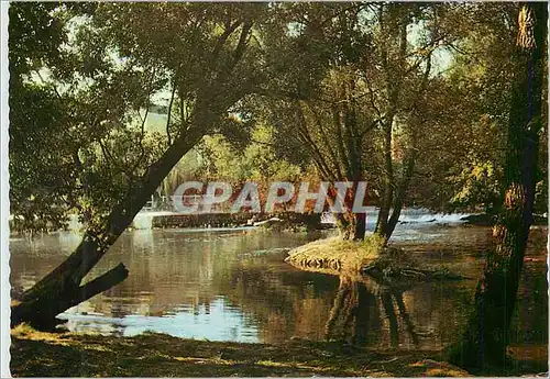 Cartes postales moderne Montigny sur Loing (Seine et Marne) Promenade Ombragee au bord du Loing face de la Village