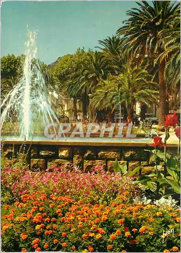 Cartes postales moderne Hyeres (Var) La Cote d'Azur miracle de la Nature Couleurs et Lumiere de France Jardins Fleuris d