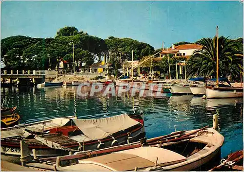 Cartes postales moderne Hyeres les Palmiers (Var) Reflet de la Cote d'Azur Bateaux