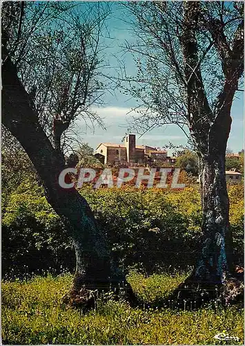 Cartes postales moderne Peymeinade (Alpes Mar) Vue sur l'Eglise