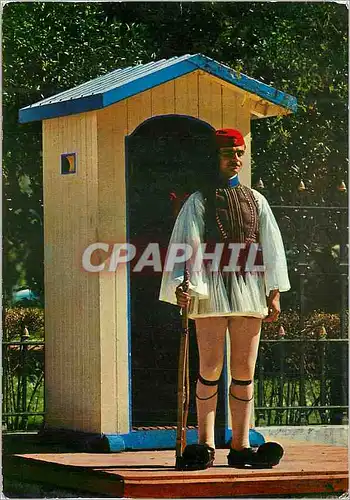 Cartes postales moderne Athenes Garde Royale Evzones