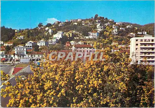 Cartes postales moderne Mandelieu Vue de la Colline de Mandelieu prise depuis la sortie de l'Autoroute
