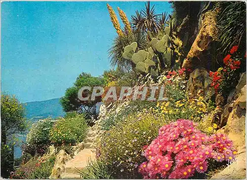 Cartes postales moderne Jardin Fleuri de la Cote d'Azur La Cote d'Azur miracle de la Nature Couleurs et Lumiere de Franc