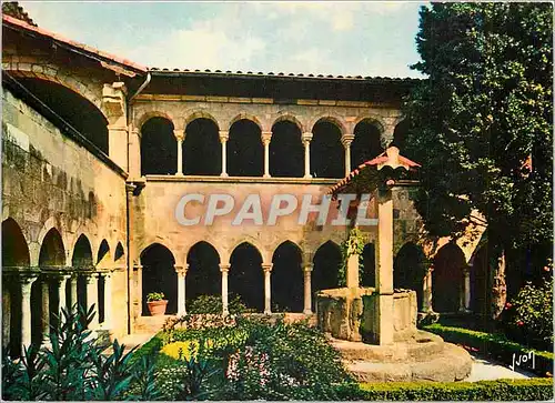 Cartes postales moderne Frejus (Var) La Cote d'Azur Miracle de la Nature Couleurs et Lumiere de France Interieur du Cloi