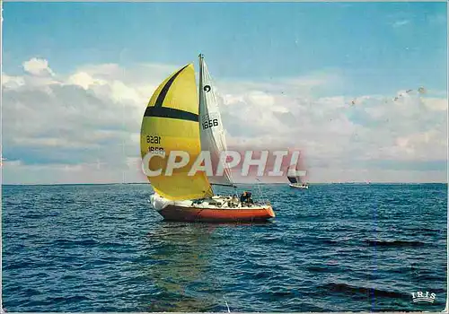 Cartes postales moderne Regates Bateaux Voiliers
