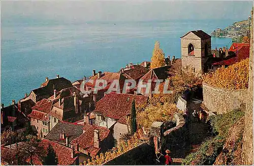 Cartes postales moderne Le Lavaux (Lac Leman Suisse) St Saphorin