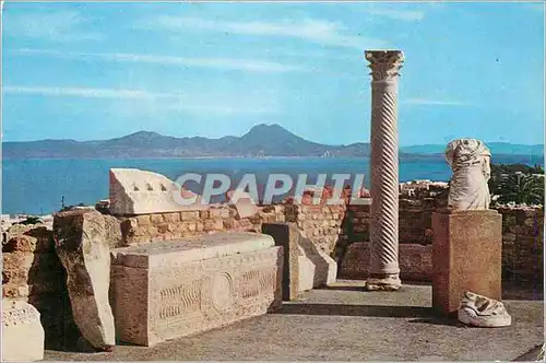 Cartes postales moderne Carthage Antiquarium