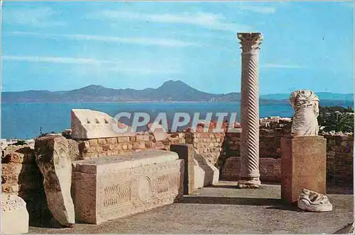Moderne Karte Carthage Antiquarium