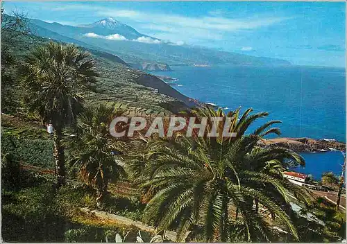 Cartes postales moderne Tenerife Paysage et le Teide au fond
