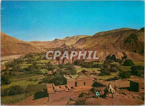 Cartes postales moderne Le Sud Marocain Boumalene Dades Kasbah dans la Vallee Ane Donkey