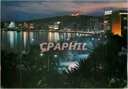Cartes postales moderne Palma Mallorca (baleares) Espana Vista Nocturna del Paseo Maritimo