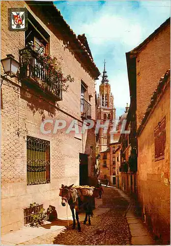 Cartes postales moderne Toledo Rue Ste Elisabeth Au Fond La Cathedrale Ane Donkey