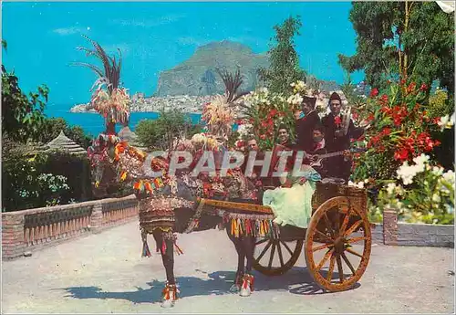 Cartes postales moderne Cefalu Carrettino Siciliano Caleche Cheval Accordeon