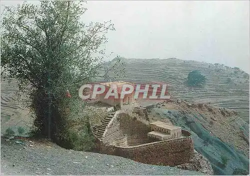 Cartes postales moderne Yemen