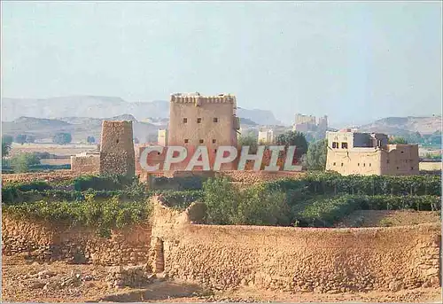 Cartes postales moderne Yemen