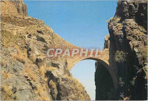 Cartes postales moderne Yemen Al Mamoon Group