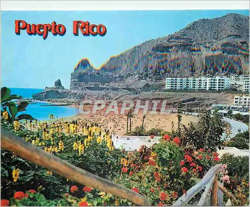 Cartes postales moderne Gran Canaria Puerto Rico Beach