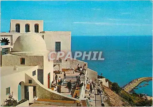 Cartes postales moderne Sidi Bou Said Cafe Sidi Chebaan