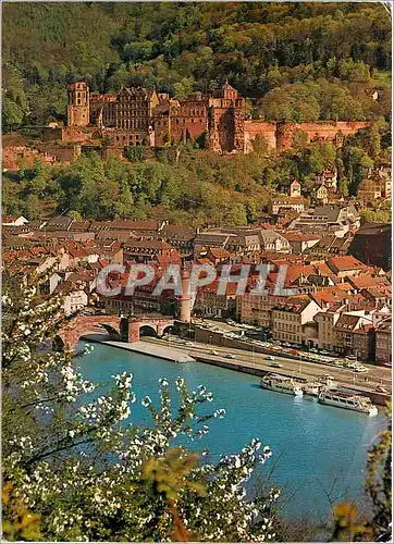 Cartes postales moderne Heidelberg au Printemps