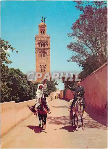 Cartes postales moderne Marrakech La Koutoubia et les Jardins de Dar Moulay Ali Cheval