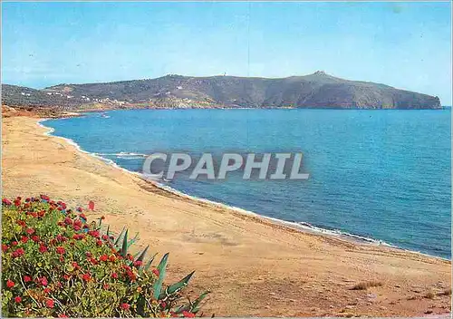 Cartes postales moderne Palinuro (Salerno) Panorama con Spiaggia