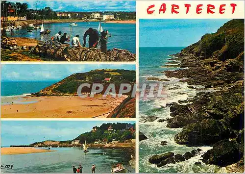 Cartes postales moderne Carteret (Manche) Le Joyau du Cotentin Peche
