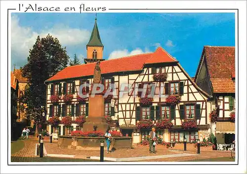 Cartes postales moderne Ribeauville L'Alsace en Fleurs