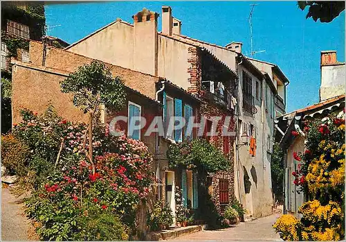 Cartes postales moderne Grimaud (Var) La Cole des Maures La Rue de Baou