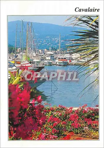 Moderne Karte Cavalaire sur Mer (Var) Le Port de Plaisance Bateaux