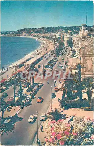 Cartes postales moderne Nice La Cote d'Azur French Riviera La Promenade des Anglais