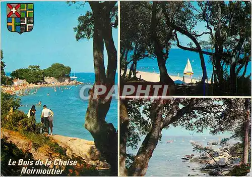 Cartes postales moderne Ile de Noirmoutier La Vendee Touristique Le Bois de la Chaise