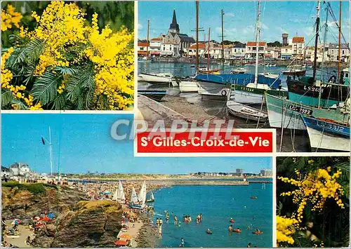Cartes postales moderne St Gilles Croix de Vie La Vendee Touristique Bateaux