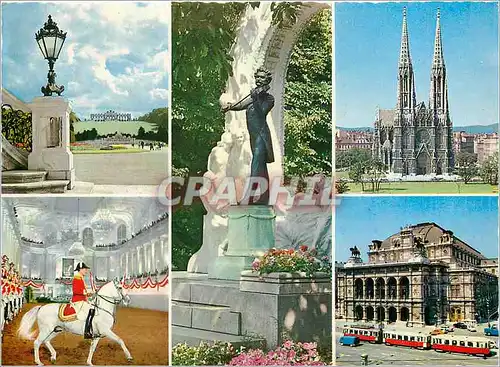 Cartes postales moderne Souvenir de Vienne (Wien) Tramway Cavalier Cheval Johann Strauss