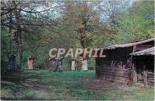 Cartes postales moderne Maisons Russie Russia