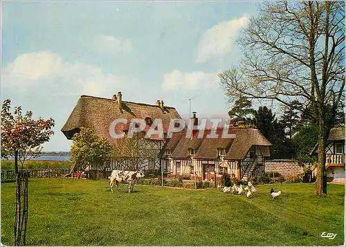 Moderne Karte La Normandie Pittoresque Chaumieres Normandes Dependances de la Reserve Nationale Vache Poules