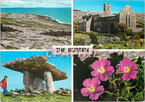 Cartes postales moderne The Burren (Great Rock)is a Plateau occupying an area of Over One Hundred Miles in North Clare
