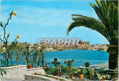 Cartes postales moderne Palma Mallorca (Baleares) Espana Vista des El Terreno