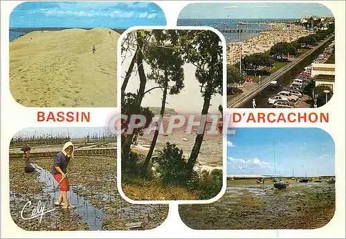 Moderne Karte Bassain d'Arcachon La Plage d'Arcachon La Dune du Pilat Echappee sur le Bassain Les Parqueurs La