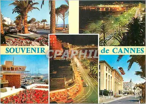 Cartes postales moderne Souvenir de Cannes (Alpes Maritimes) La Cote d'Azur Miracle de la Nature Couleurs et Lumiere de