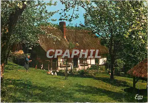 Cartes postales moderne La Normandie Pittoresque Chaumiere Normande au printemps