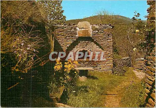 Cartes postales moderne Ancien Four a Pin Dans le Massif des Cevennes