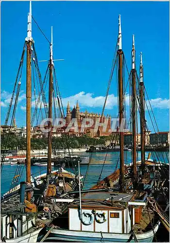 Cartes postales moderne Palma Mallorca Baleares Espana La Catedral desde et Muelle de Pescadores Bateaux