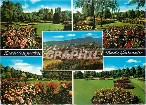 Cartes postales moderne Dahliengarten Bad Nenenahr
