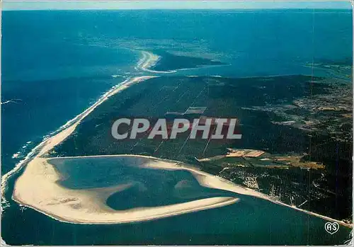 Cartes postales moderne La Palmyre les Mathes (Ch Mme) La Baie de Bonne Anse La Foret de la Coubre et la Cote Sauvage Au