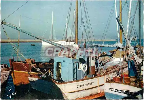 Cartes postales moderne La Bretagne en Couleurs Bateaux au Repos dans le Port de Douarnenez Bateaux Ange Gardien